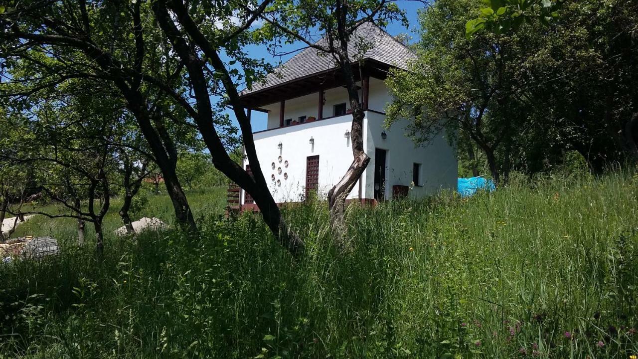 Cottage Poe Poienari Exterior foto